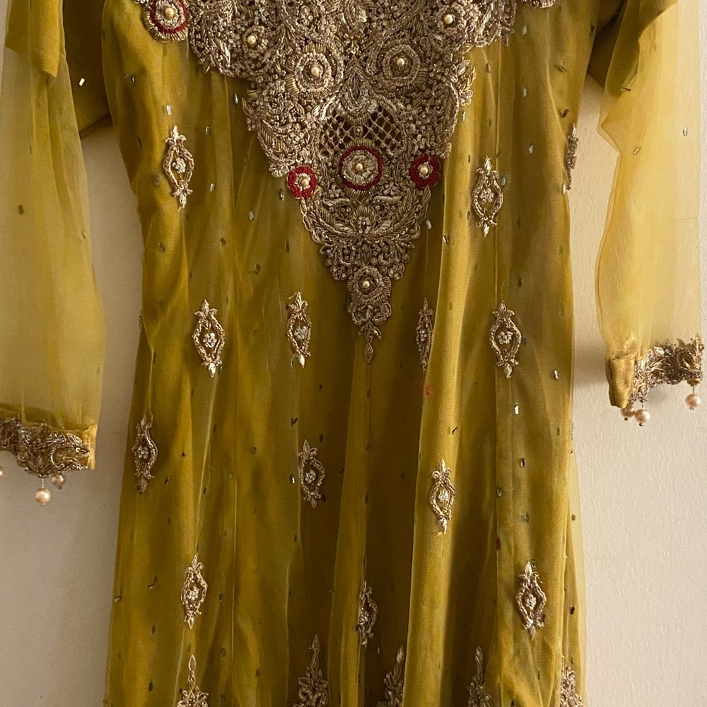 Beautiful Pakistani wedding/ party wear dress